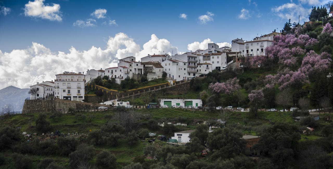 הוילה Jubrique Casa La Puente מראה חיצוני תמונה